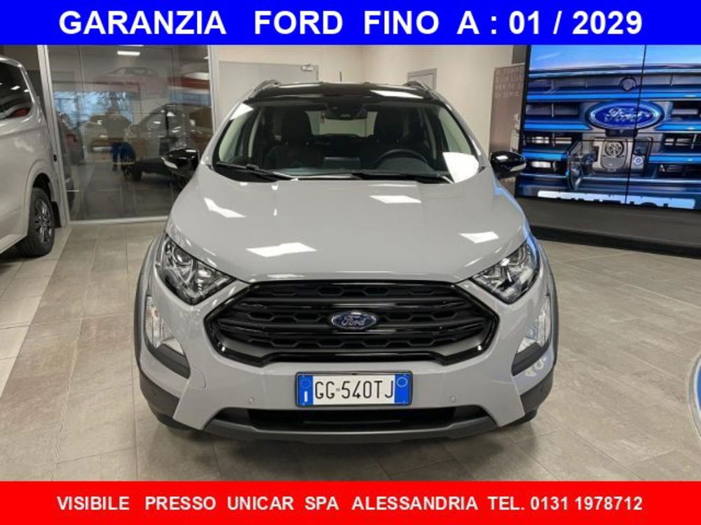 Ford EcoSport usata a Cuneo (2)