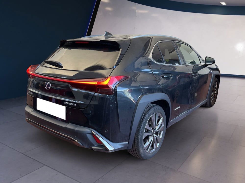 Lexus UX usata a Torino (5)