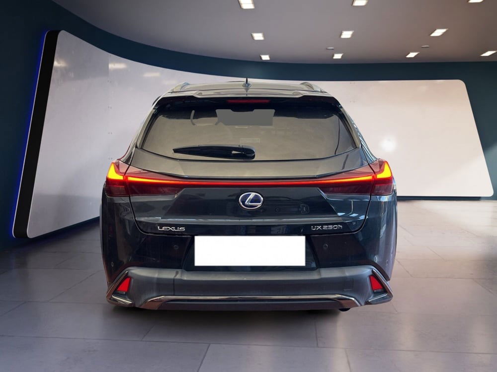 Lexus UX usata a Torino (6)