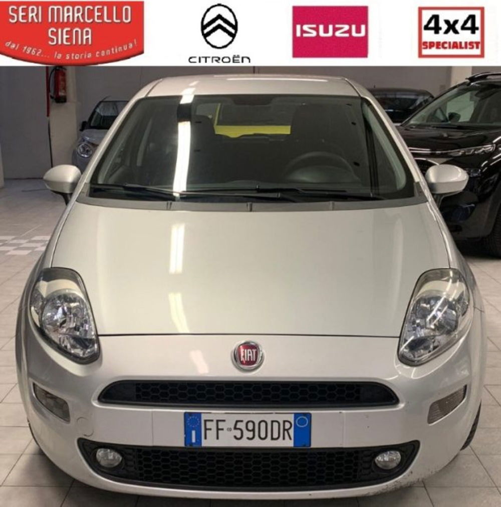 Fiat Punto usata a Siena