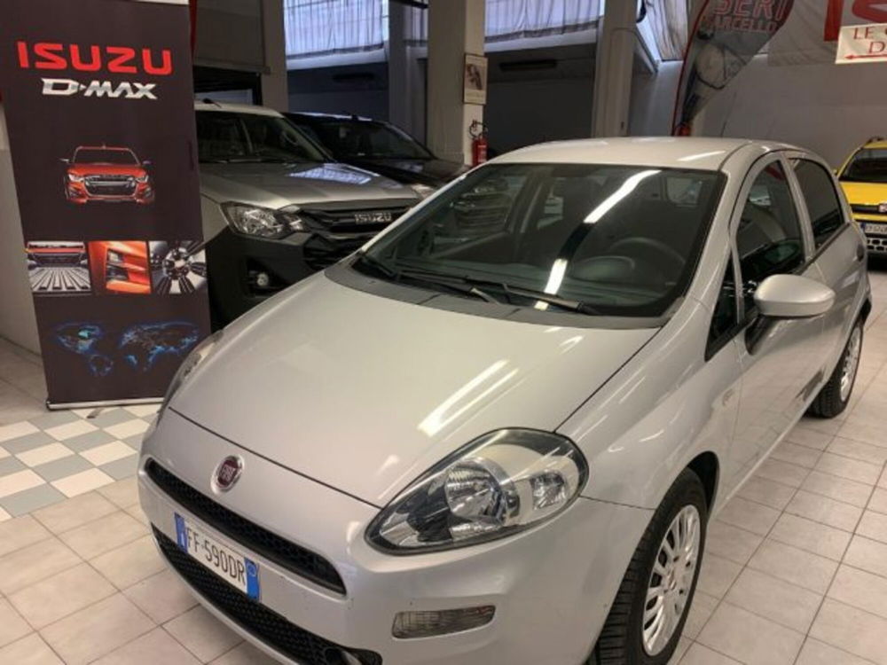 Fiat Punto usata a Siena (2)