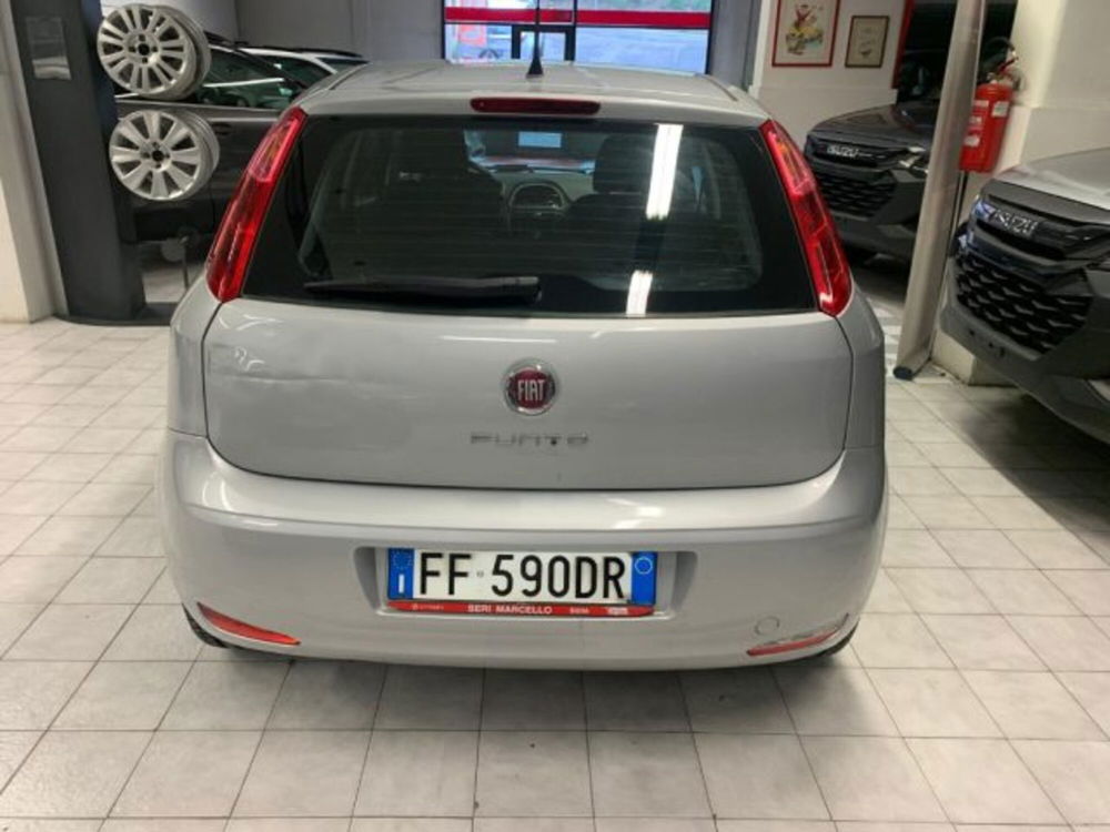 Fiat Punto usata a Siena (4)