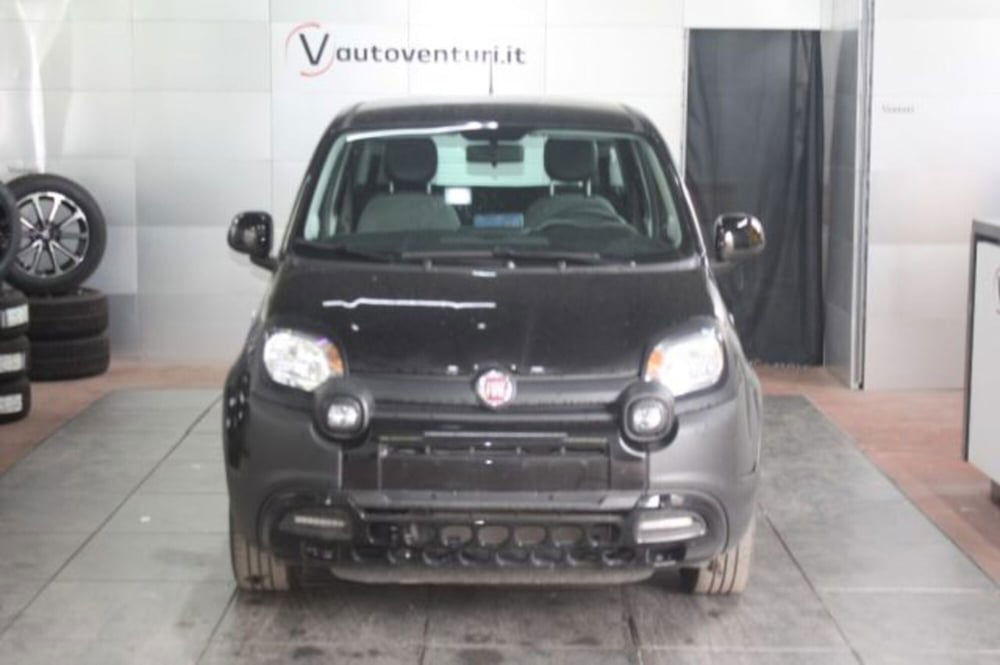 Fiat Panda Cross usata a Viterbo (2)