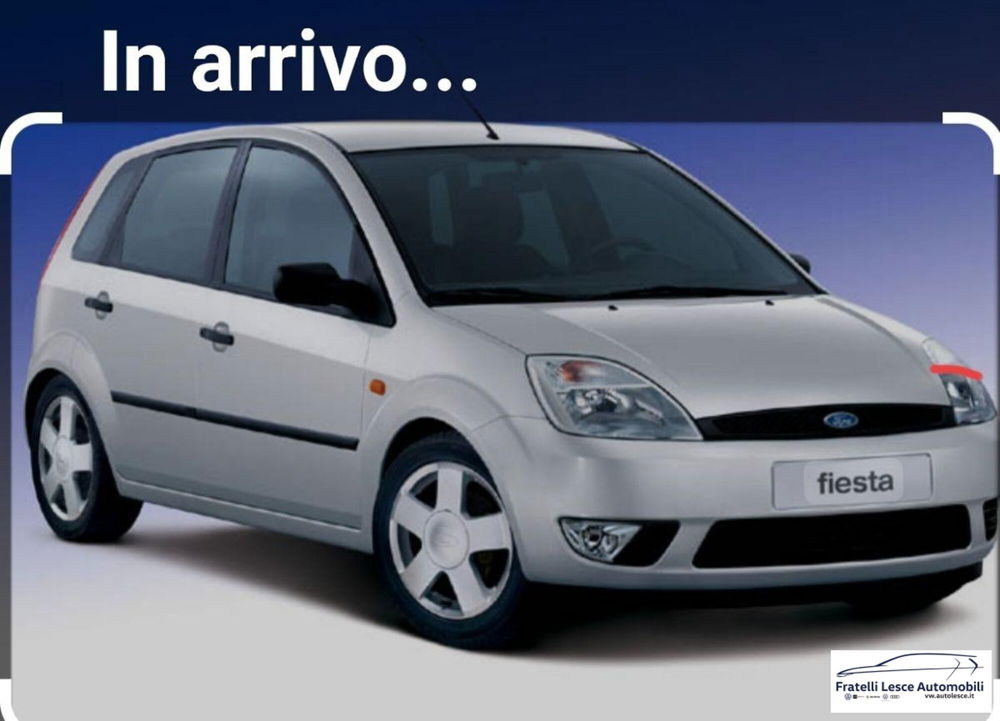 Ford Fiesta usata a Cosenza