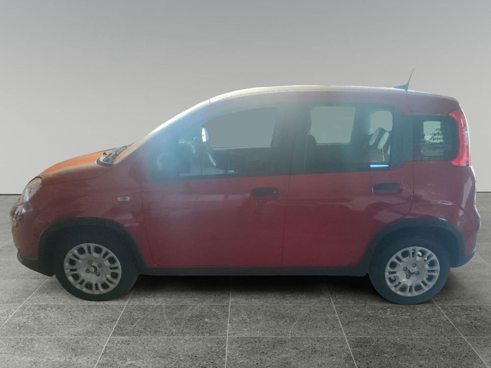 Fiat Panda Cross nuova a Lecce (2)