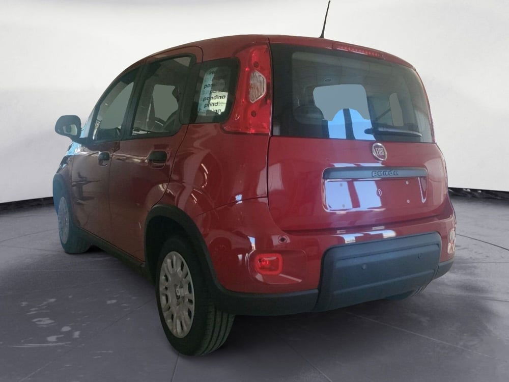 Fiat Panda Cross nuova a Lecce (6)