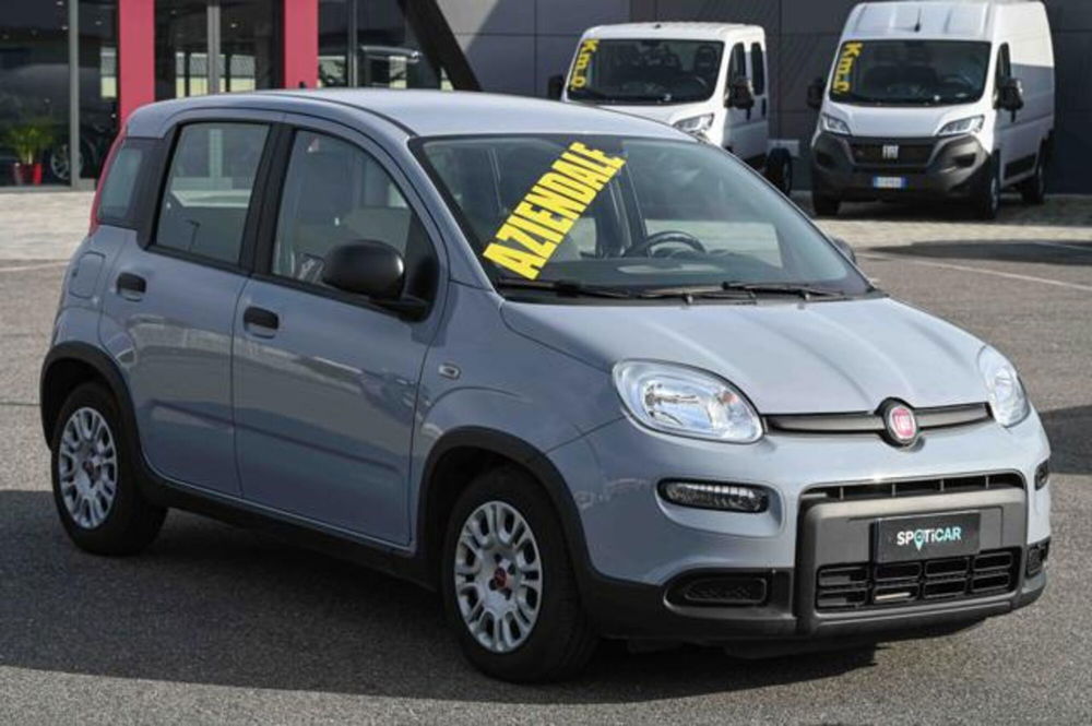 Fiat Panda usata a Torino (3)