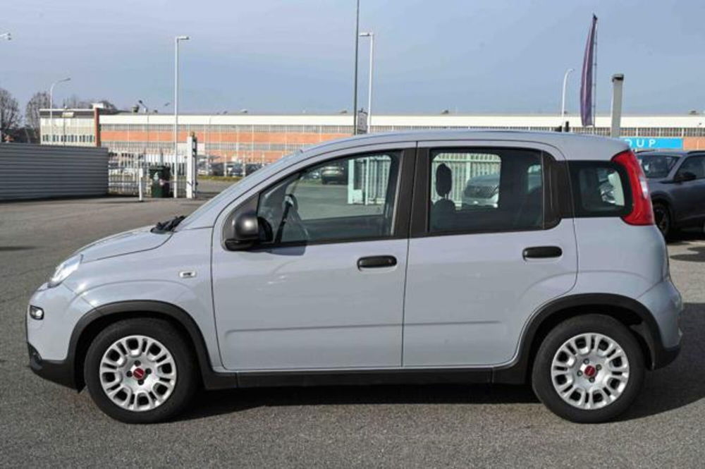 Fiat Panda usata a Torino (8)