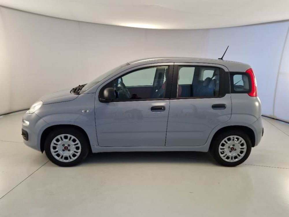 Fiat Panda Cross usata a Bari (4)