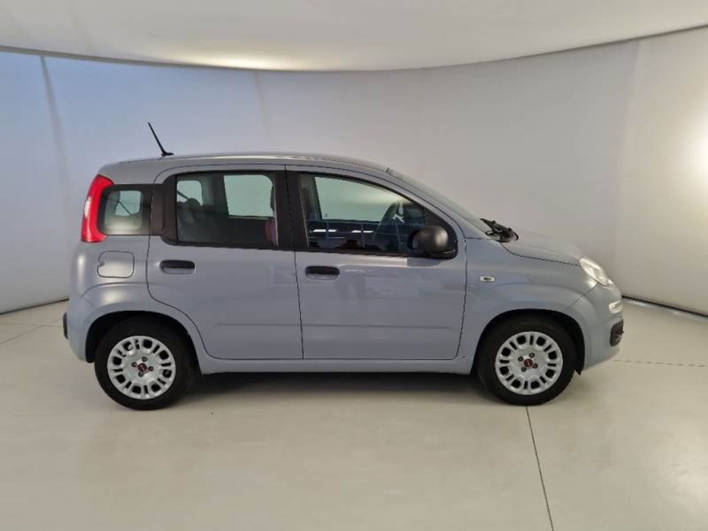 Fiat Panda Cross usata a Bari (5)