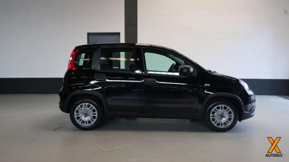 Fiat Panda nuova a Varese (3)