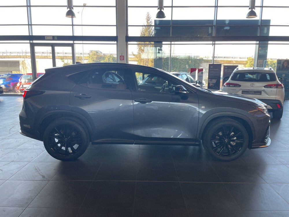 Lexus NX usata a Piacenza (6)