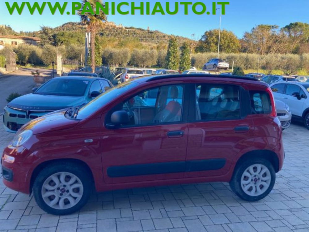 Fiat Panda usata a Arezzo (2)