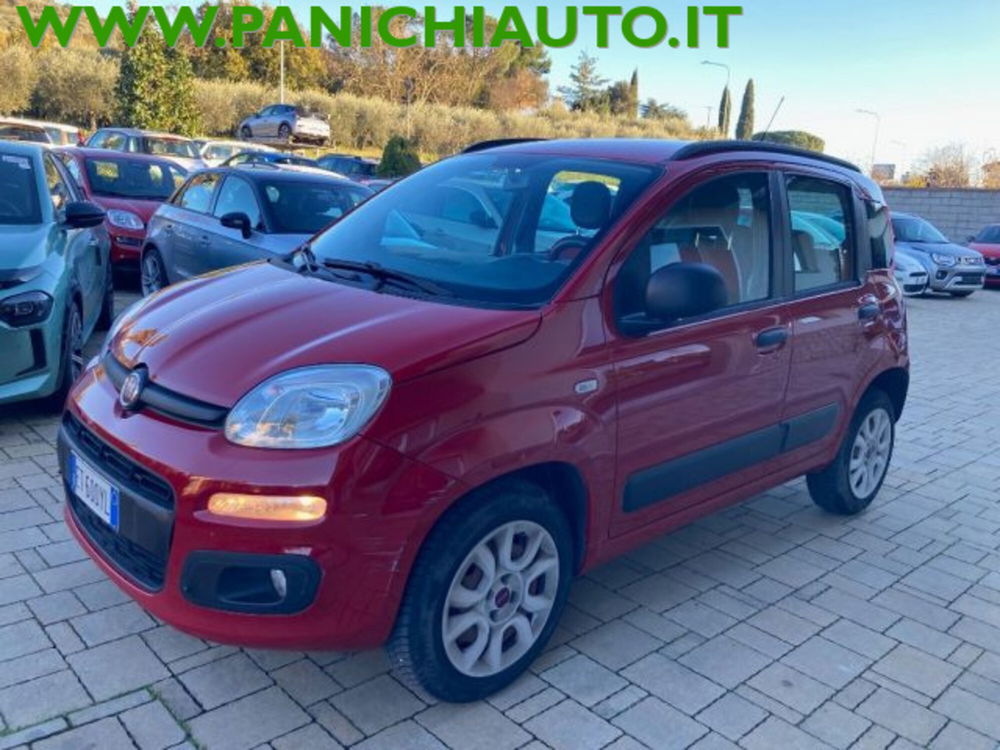 Fiat Panda usata a Arezzo