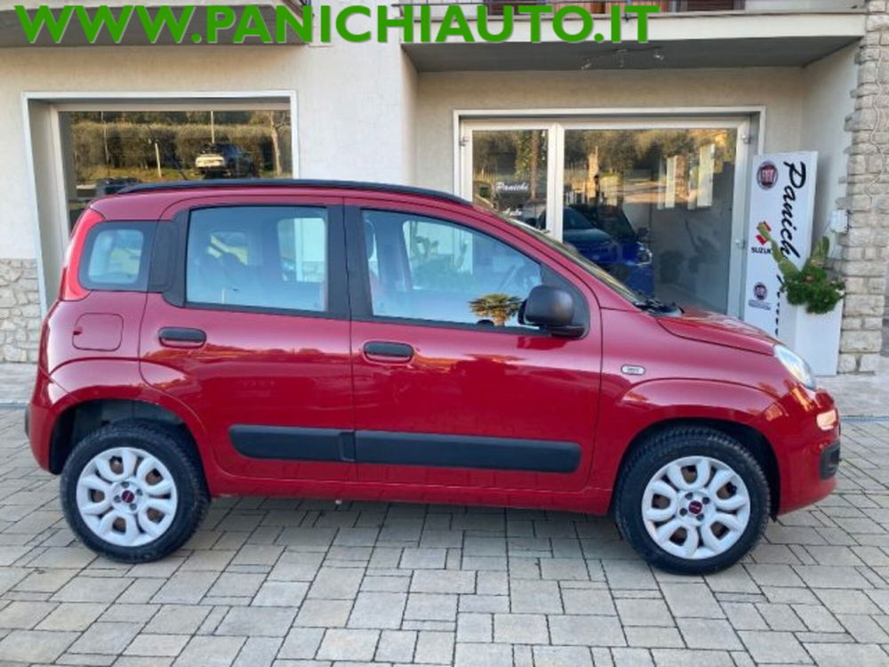 Fiat Panda usata a Arezzo (5)