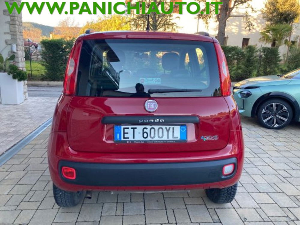 Fiat Panda usata a Arezzo (7)