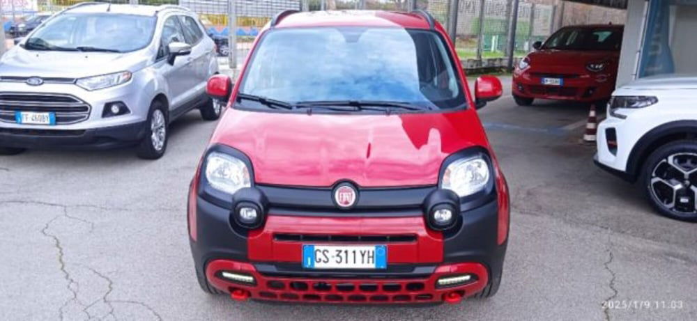 Fiat Panda Cross usata a Frosinone