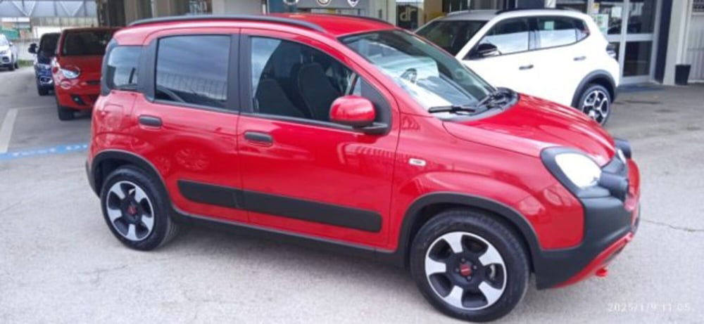 Fiat Panda Cross usata a Frosinone (2)