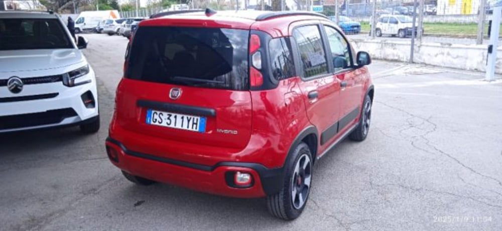 Fiat Panda Cross usata a Frosinone (3)