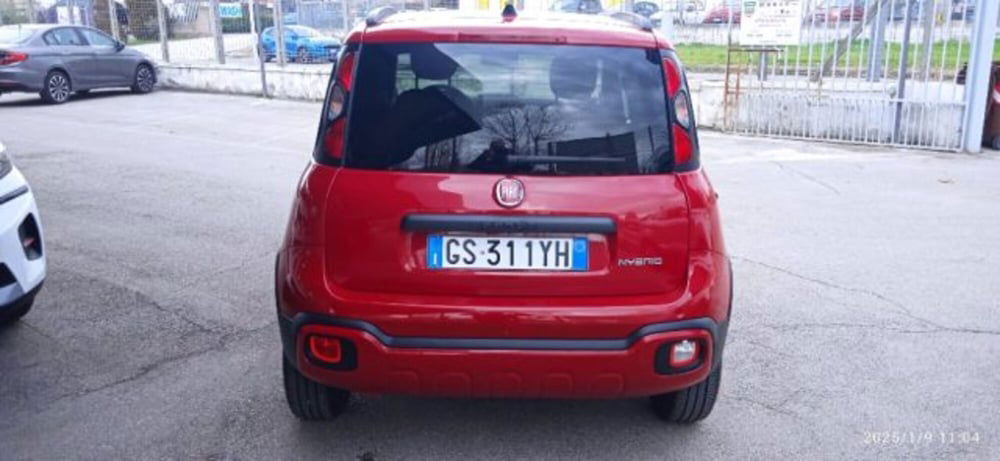 Fiat Panda Cross usata a Frosinone (4)