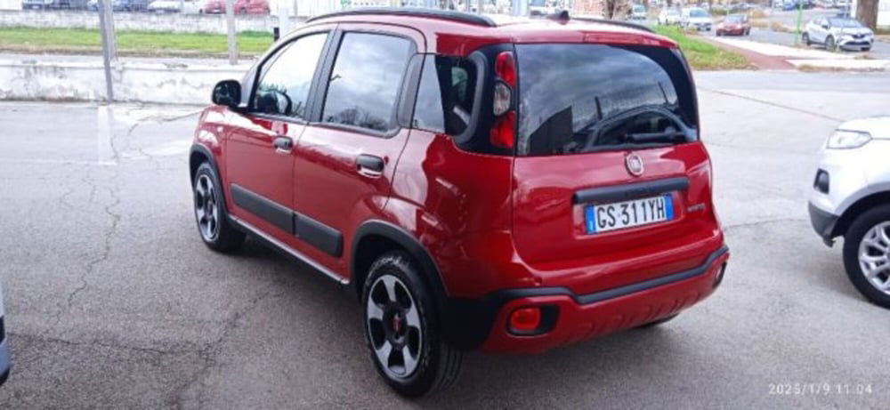 Fiat Panda Cross usata a Frosinone (5)