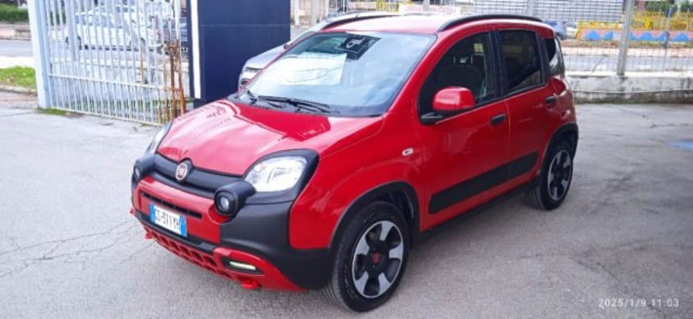 Fiat Panda Cross usata a Frosinone (6)