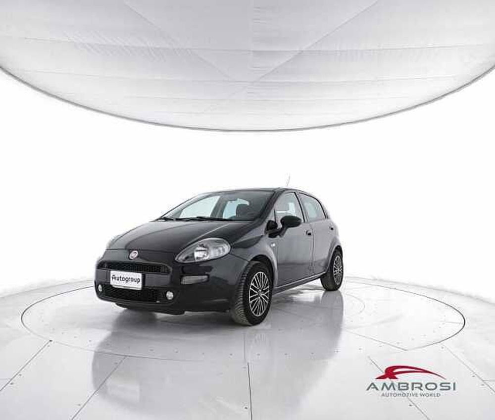 Fiat Punto usata a Viterbo