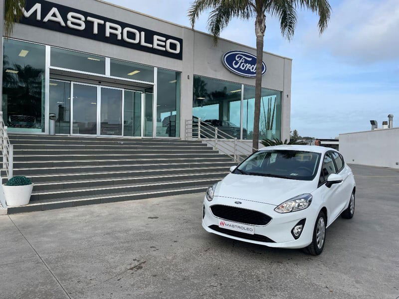 Ford Fiesta 1.5 EcoBlue 5 porte Plus  del 2019 usata a Tricase