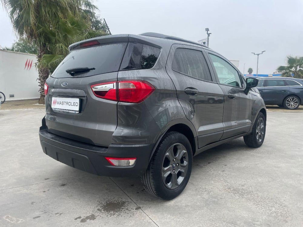 Ford EcoSport usata a Lecce (11)