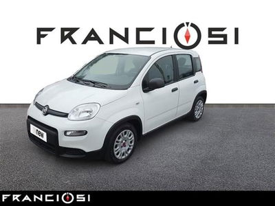 Fiat Panda 1.0 firefly hybrid s&amp;s 70cv 5p.ti del 2023 usata a Mirandola