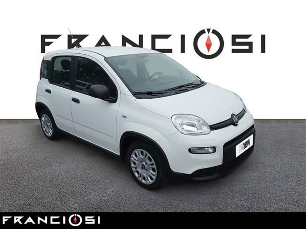 Fiat Panda usata a Modena (2)