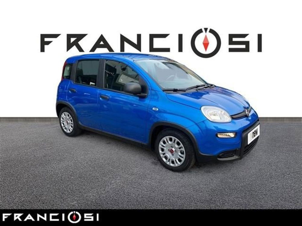 Fiat Panda usata a Modena (2)