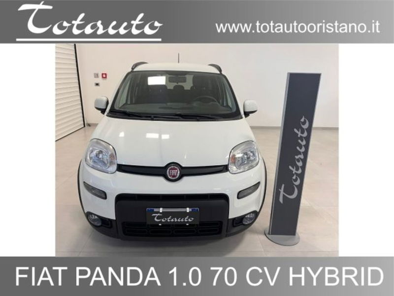 Fiat Panda 1.0 firefly hybrid s&s 70cv 5p.ti del 2023 usata a Ghilarza