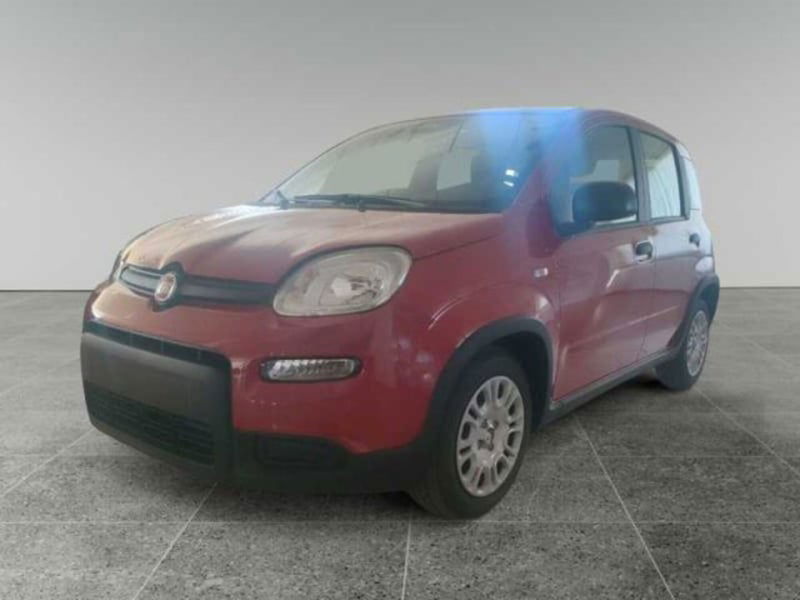 Fiat Panda 1.0 firefly hybrid s&amp;s 70cv 5p.ti nuova a Surbo