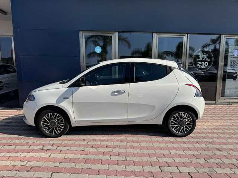 Lancia Ypsilon usata a Vibo Valentia (8)