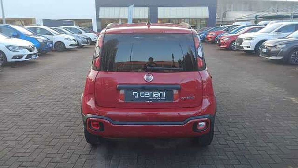 Fiat Panda Cross usata a Milano (4)