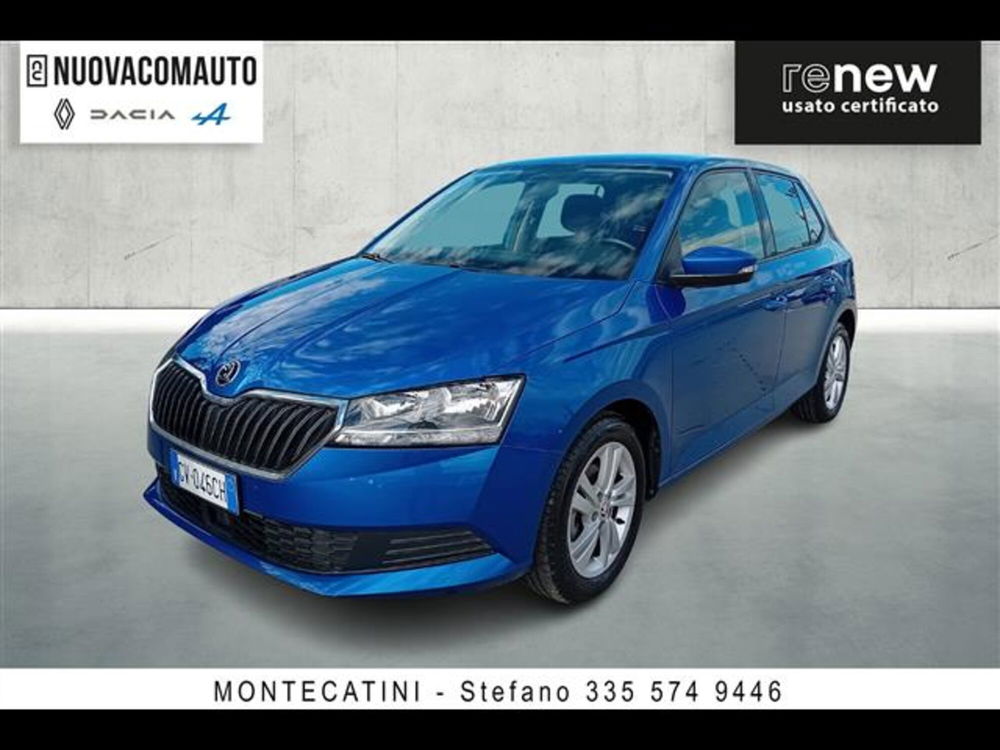 Skoda Fabia usata a Firenze