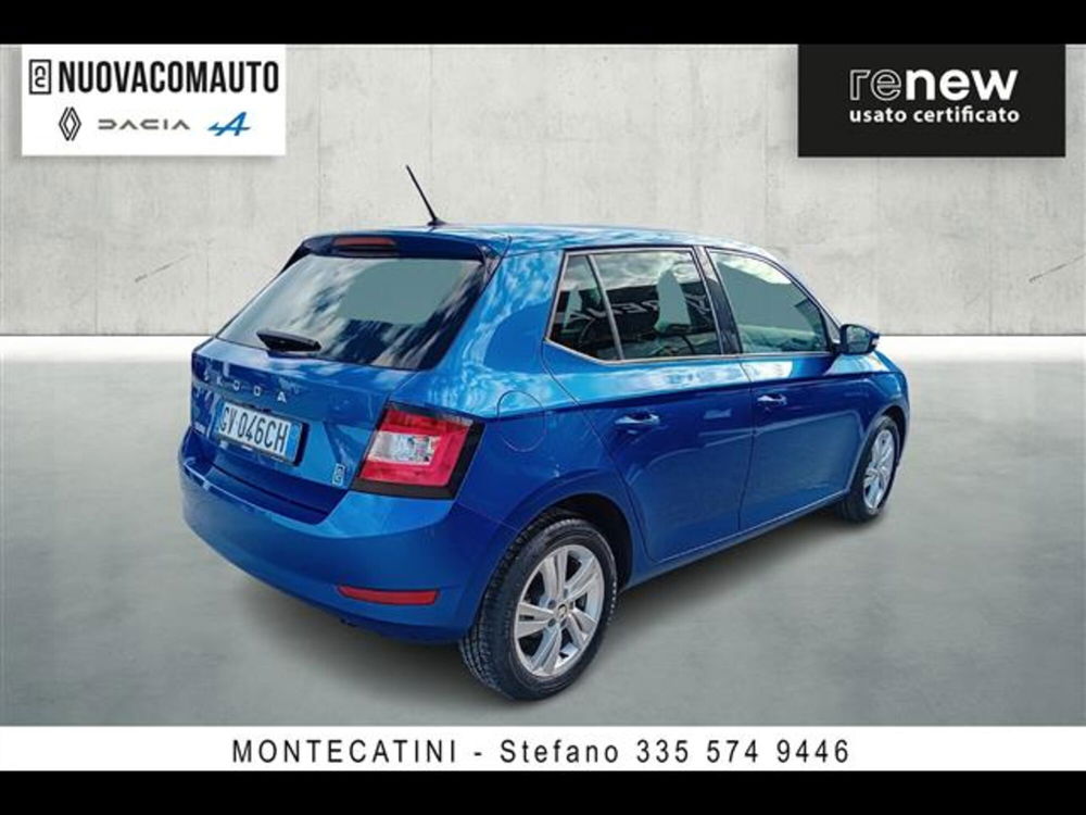 Skoda Fabia usata a Firenze (3)