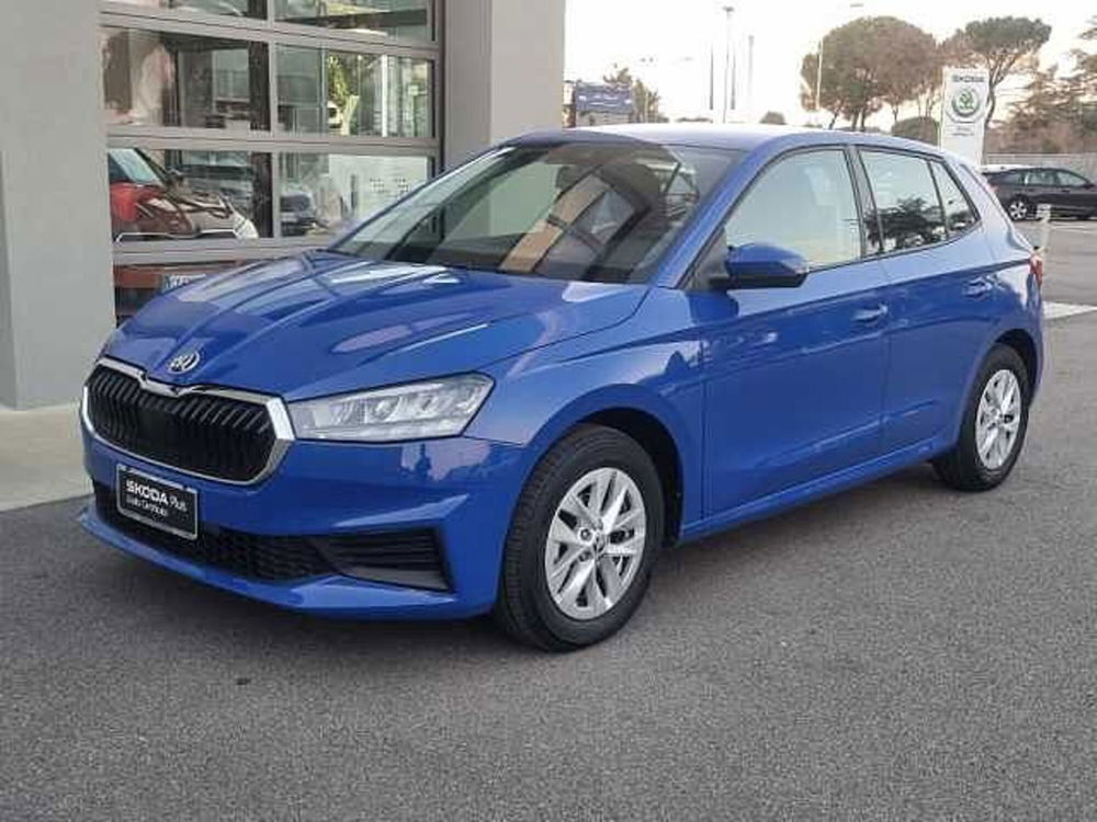 Skoda Fabia usata a Verona (2)