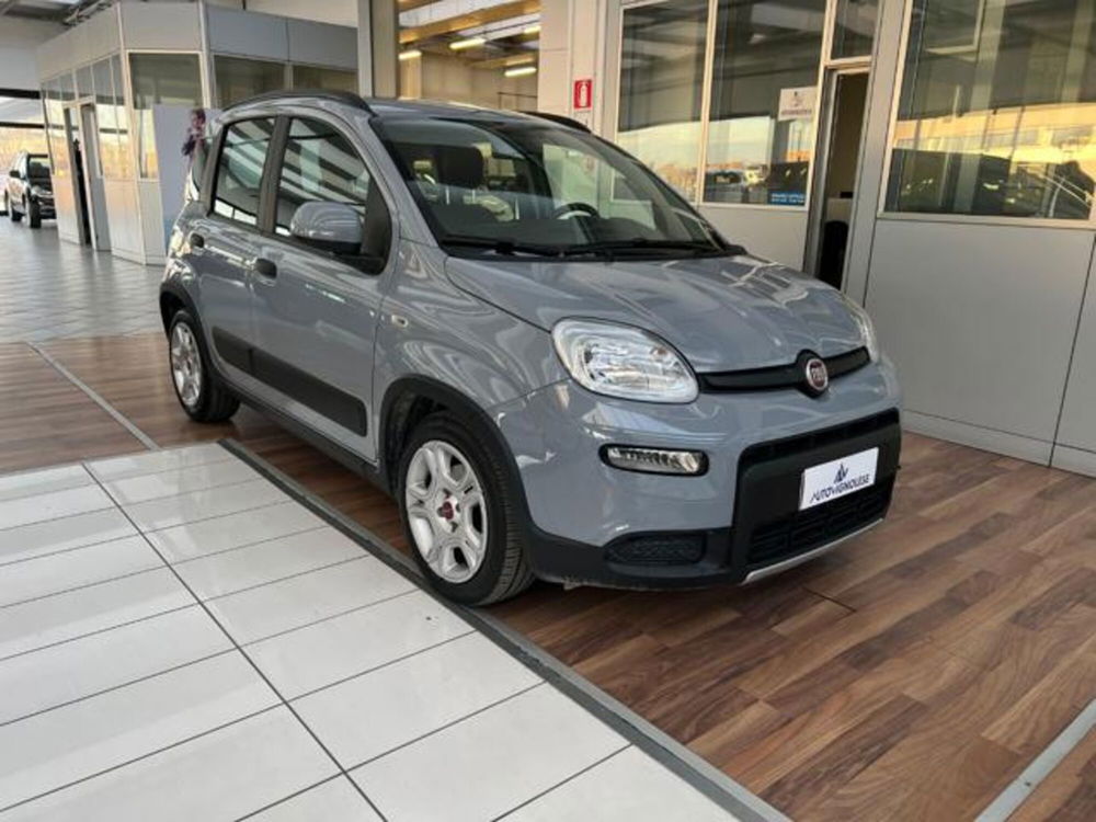 Fiat Panda usata a Modena