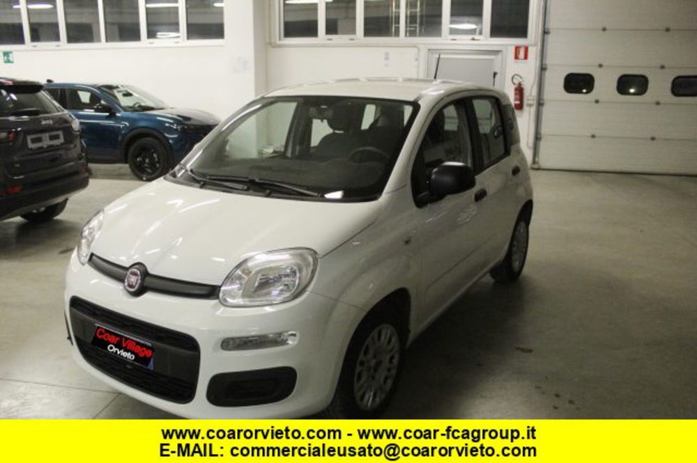 Fiat Panda usata a Terni