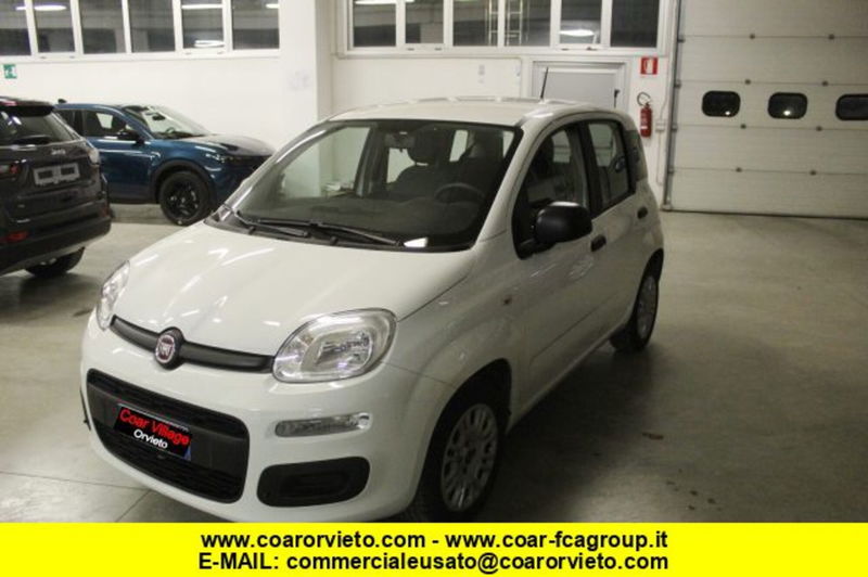 Fiat Panda 1.2 Easy  del 2020 usata a Orvieto