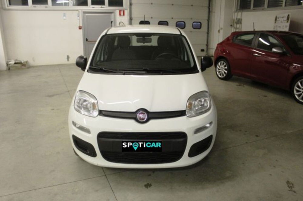 Fiat Panda usata a Terni (2)