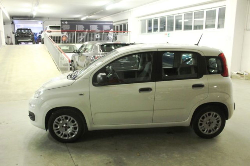 Fiat Panda usata a Terni (3)