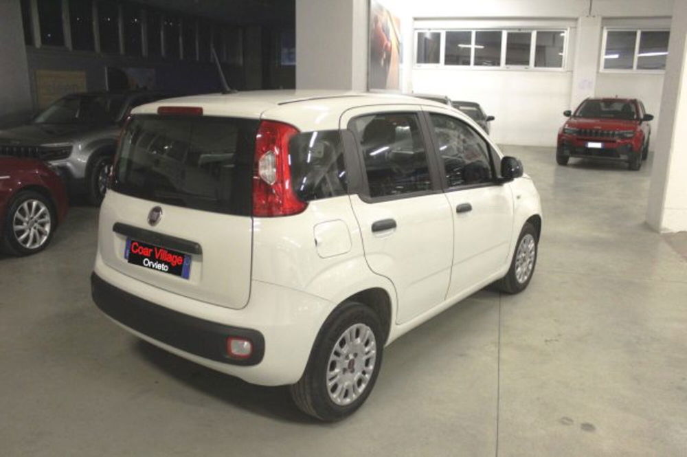 Fiat Panda usata a Terni (4)