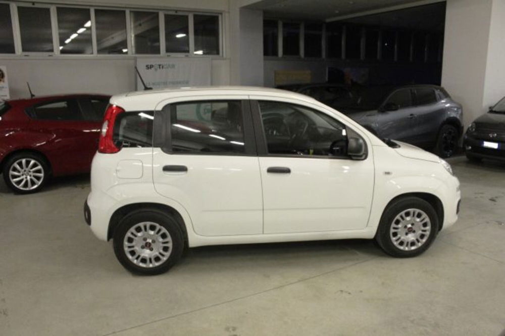 Fiat Panda usata a Terni (6)