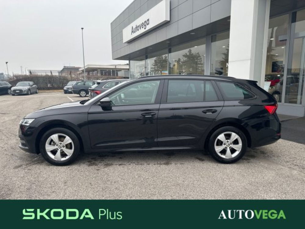 Skoda Octavia Station Wagon usata a Vicenza (5)