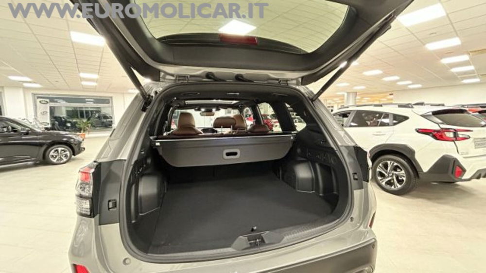 Subaru Forester nuova a Campobasso (19)