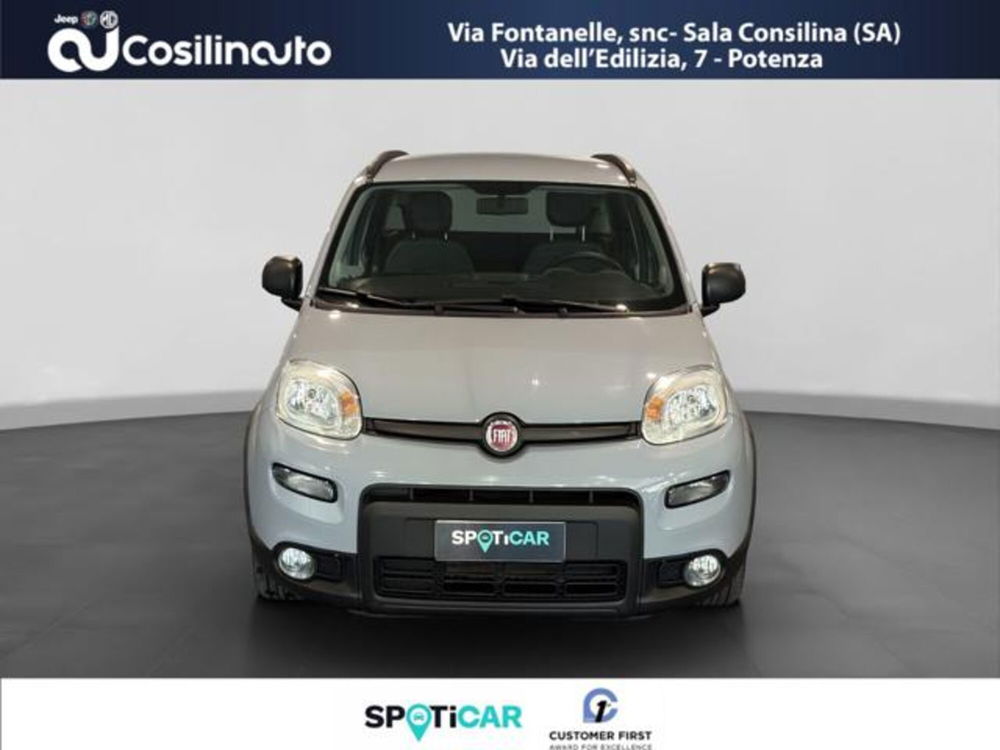 Fiat Panda usata a Salerno (8)