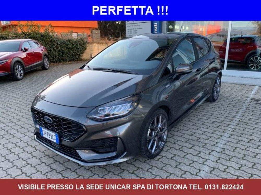 Ford Fiesta usata a Cuneo